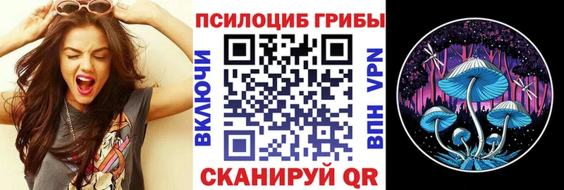 Псилоцибиновые грибы мухоморы  Глазов 