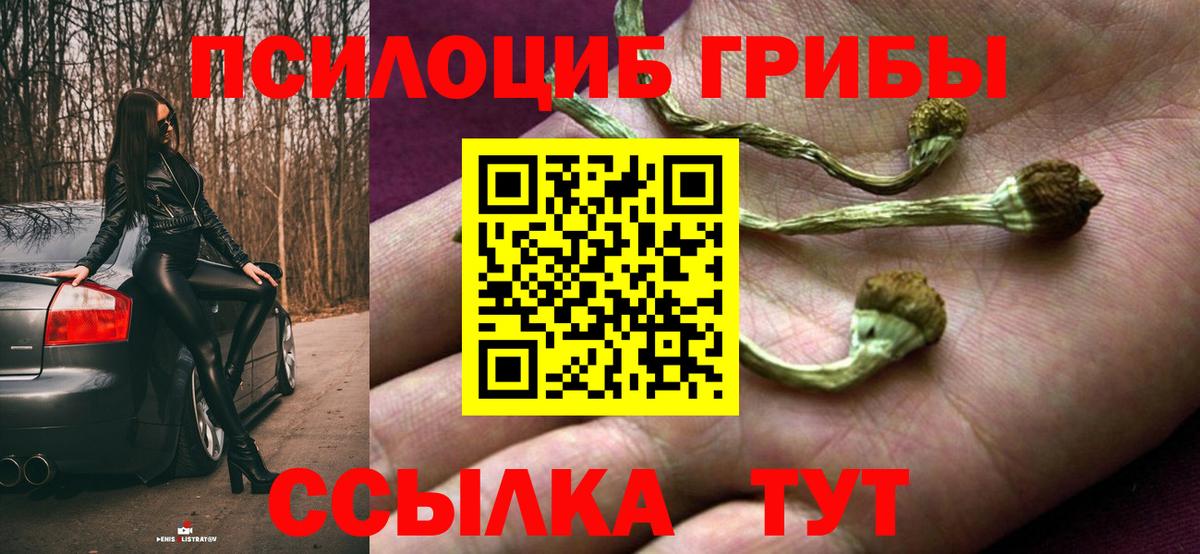Псилоцибиновые грибы Cubensis Глазов