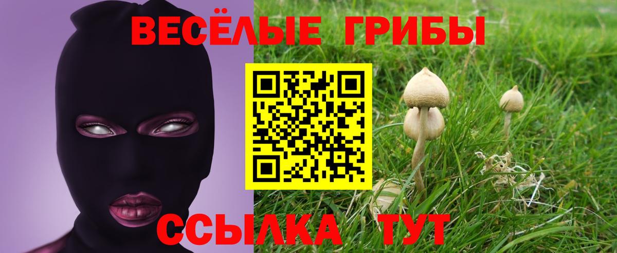 Глазов  наркотики  Галлюциногенные грибы Magic Shrooms  Вход с VPN  Галлюциногенные грибы GOLDEN TEACHER 